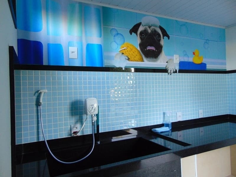 Pet Care
